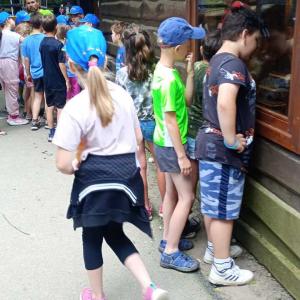 1f7a9835-094d-4a8b-9d91-9a765abf47bf.jpg