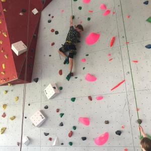 5da17ceb-5bd5-4e79-b5c6-de7b6fb106b6.jpg