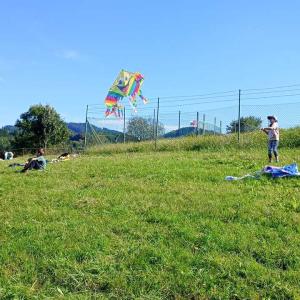 3e430f34-f96a-48a7-89c7-155392679be6.jpg