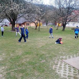 9e961859-2e5e-42ff-aecb-4ec6cd7179b7.jpg