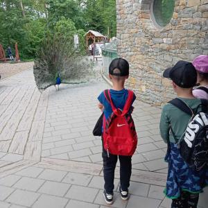 d43d8603-199c-486f-b462-4ab74f7ef091.jpg