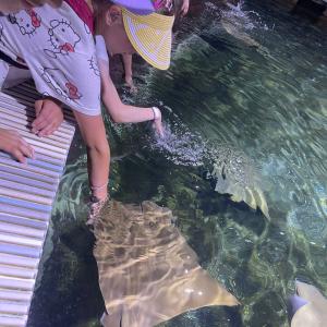 2c33d781-ad32-41e6-aad6-4b9235182db4.jpg